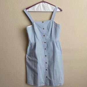 J. Crew Blue Striped Button-Down Apron Dress